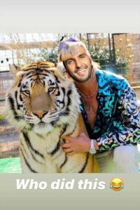 Ranveer Singh Turned Joe Exotic and Posed With A Tiger! Check Out The Photoshopped Image